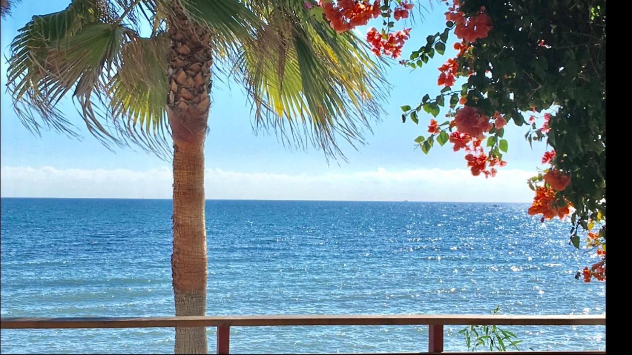 Mi Capricho Beachfront- 3-7 Apartment With Sea Views Sitio de Calahonda Exteriör bild