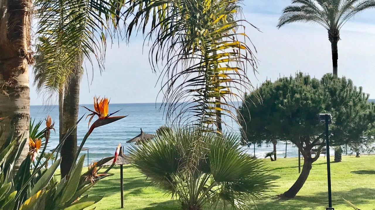 Mi Capricho Beachfront- 3-7 Apartment With Sea Views Sitio de Calahonda Exteriör bild